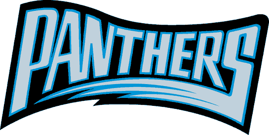 Carolina Panthers 1995 Wordmark Logo t shirts iron on transfers